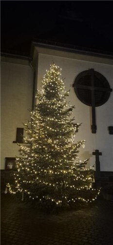Der Weihnachtsbaum in Naunheim.  Foto: privat