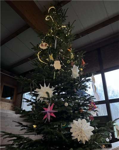 Der Weihnachtsbaum in der Panoramahalle.