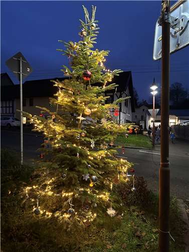 Der Weihnachtsbaum ist festlich geschmückt.