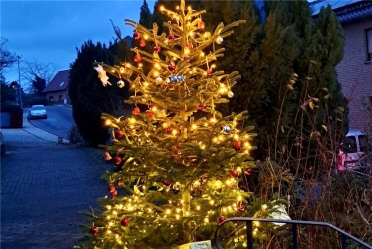 Der Weihnachtsbaum leuchtet.