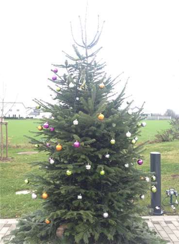Der Weihnachtsbaum wurde geschmückt.privat