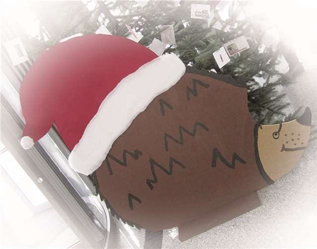 Der WeinachtsIGEL möchte wieder viele Kinder an Weihnachten beschenken. privat
