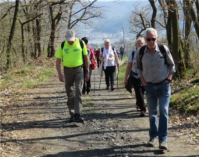 Der Westerwald-Verein, ZV Neuwied, hatte zu einer Wanderung auf dem Traumpfad Rheingoldbogen eingeladen. Fotos: privat