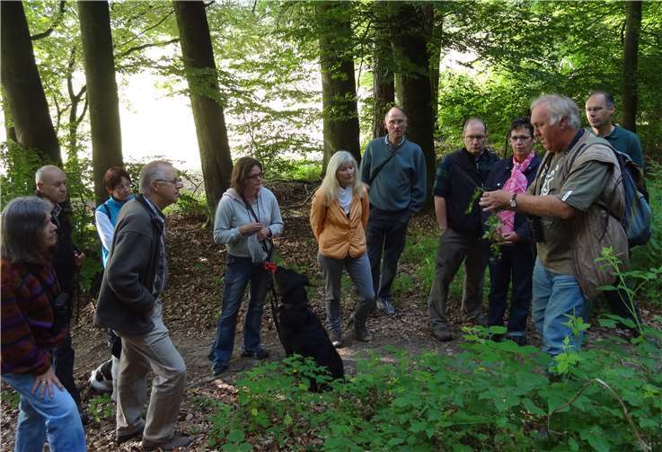 Der Westerwaldverein, Zweigverein Buchfinkenland, erkundet die Natur.privat