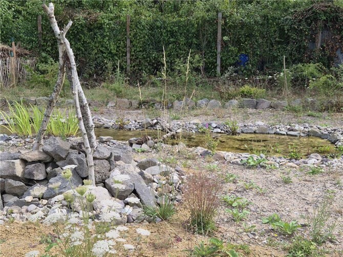 Der Wettbewerb „Grüne Stadt – Grünes Dorf“ des Landkreises Mayen-Koblenz geht in eine neue Runde und soll den Kreis artenreicher machen.