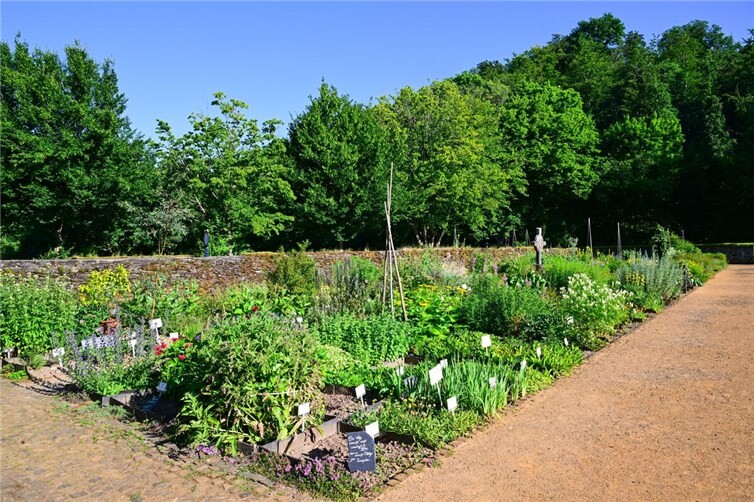 Der Wildkräutergarten im Kloster Marienstatt