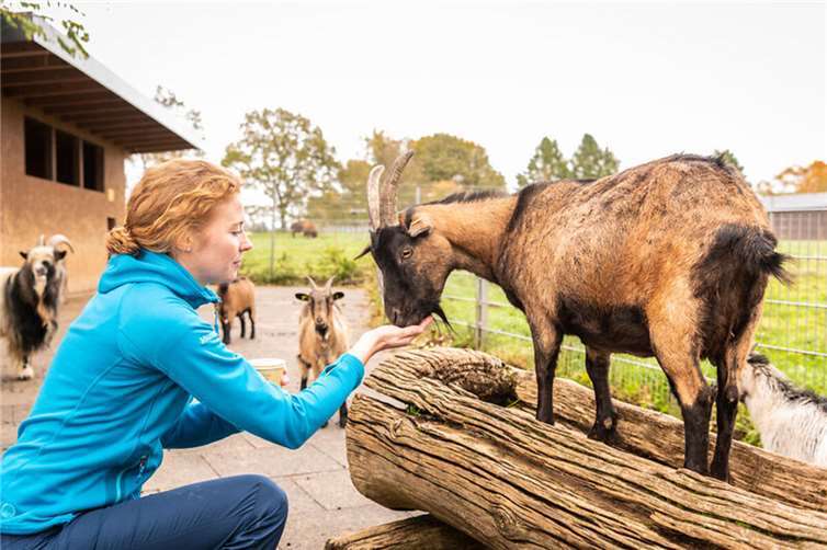 Der Wildpark Bad Marienberg.Foto: Dominik Ketz