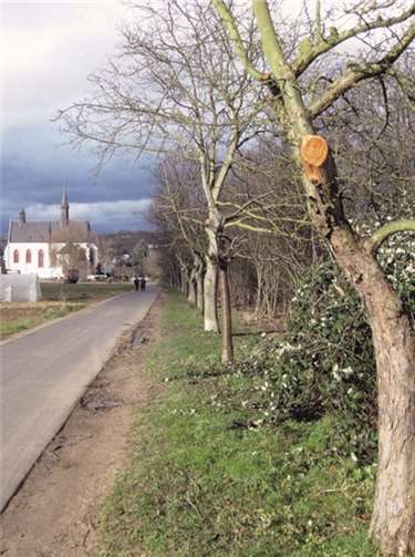 Der Wirtschaftsweg kann wieder gefahrlos benutzt werden. privat