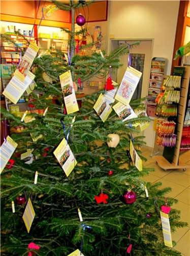 Der Wunsch-Baum steht in der Schlossapotheke. -PS-