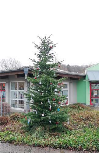 Der Wunschbaum.Foto: privat