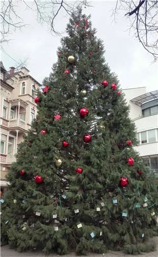 Der Wunschbaum.Quellen: Stadtverwaltung Bad Neuenahr-Ahrweiler