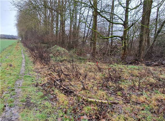 Ðer Zickzackkurs zur Radwegeplanung und Wald-Rodung werfen zunehmend Fragen auf.Foto: privat