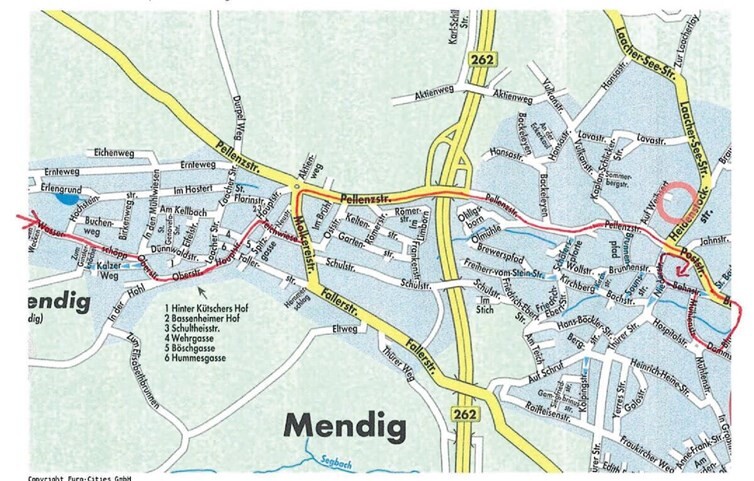 Der Zugweg. Quelle: Komitee für den Veilchendienstagzug Mendig e.V.