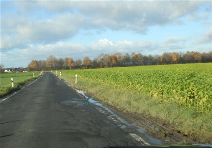 Der Zustand der K52 ist offensichtlich sanierungsbedürftig. Foto: CDU OV Miel