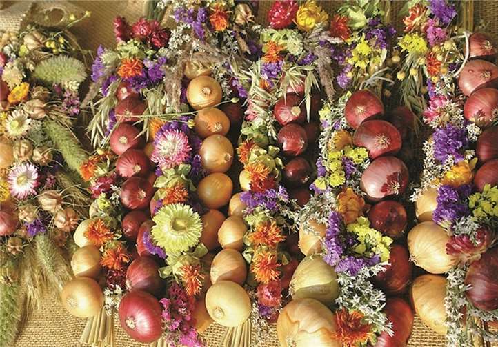 Der Zwiebelmarkt 2015 findet vom 19. bis 21. September statt.privat