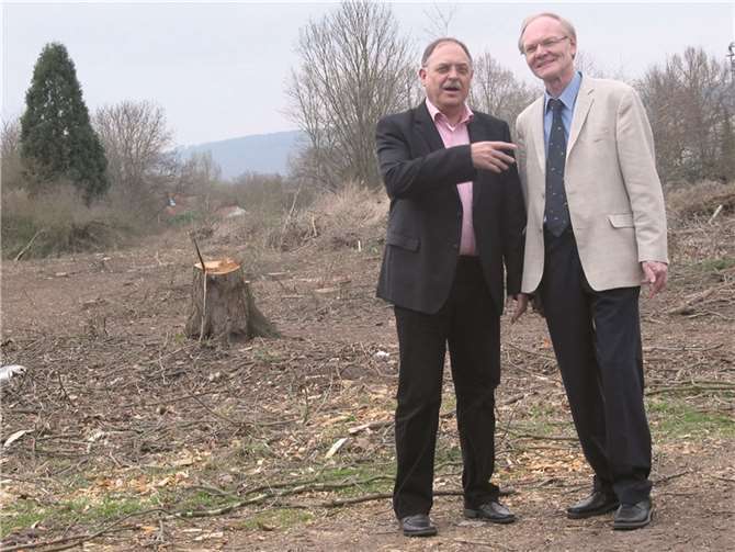 Der alte Hochzeitswald wurde entfernt, ohne eine Alternativfläche auszuweisen.privat
