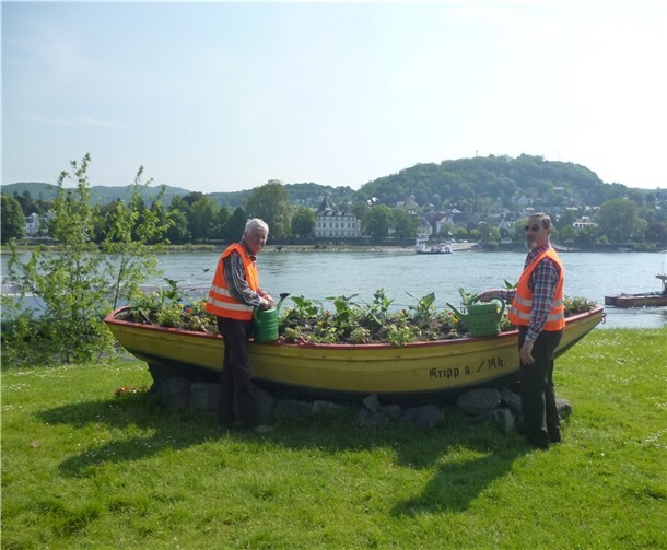 Der alte Kahn am Rhein wurde von den Vorstandsmitgliedern des Bürger- und Heimatvereins Kripp zum Kirchweihfest frisch bepflanzt. AB