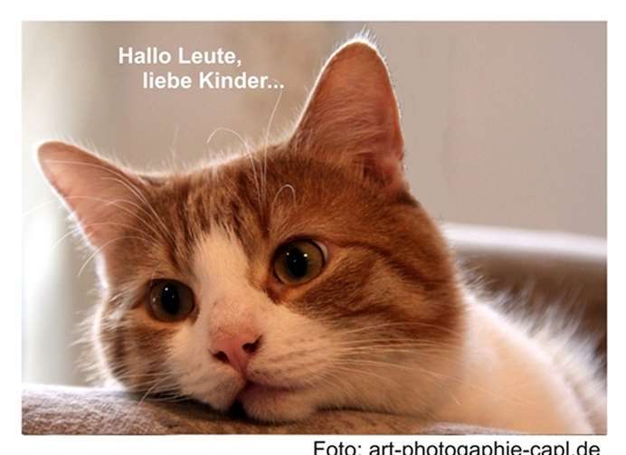 Der beliebte Bobby-Jahreskalender 2018 ist ab jetzt erhältlich. art-photographie-capl.de