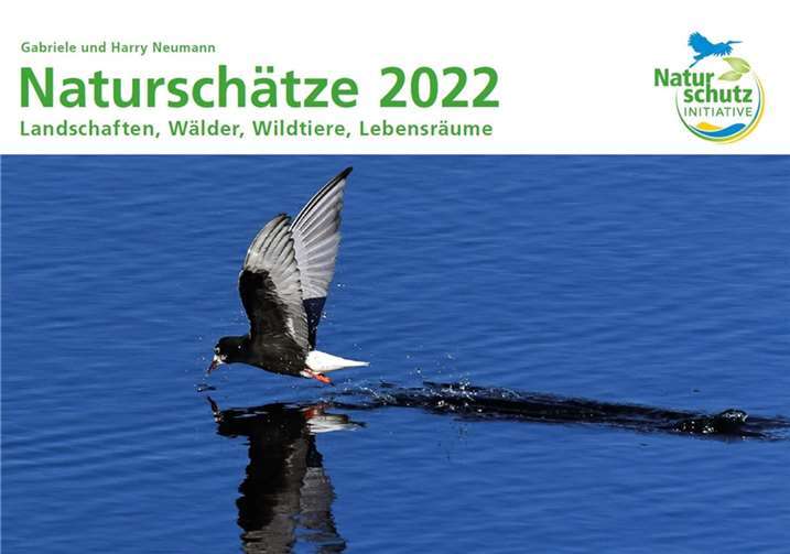 Der bundesweit anerkannte Umweltverband Naturschutzinitiative e.V. (NI) stellt seinen Kalender „Naturschätze 2022“ vor.Fotos: privat
