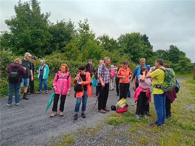Bezirkswandertag in Mayen Der diesjährige Bezirkswandertag der Bezirksgruppe Mayen-Koblenz des Eifelvereins wurde von der OG Mayen organisiert. Den Teilnehmern standen zwei unterschiedlich lange Wanderungen zur Auswahl. Foto: privat