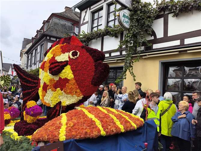 Der diesjährige Blumenkorso begeisterte unter anderem mit eindrucksvollen Drachen, Schmetterlingen und bunten Fischen.