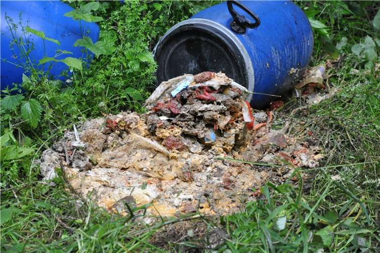 Der ekelhafte Gestank der zum Teil bereits vergorenen Essensreste ist unerträglich.