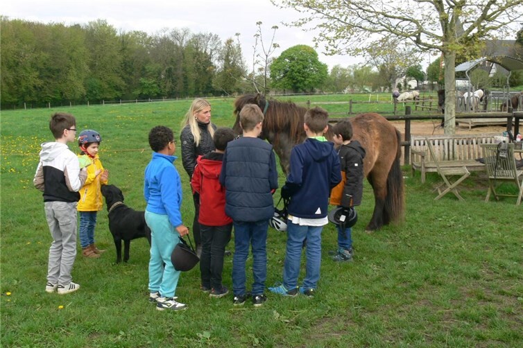 Der erste Schritt: behutsam Vertrauen schaffen 