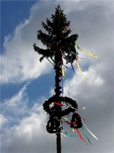 Der fertig stehende Maibaum.
