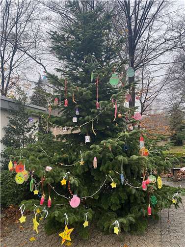 Der festliche geschmückte Baum.  Foto: Sandra Seidenfuß