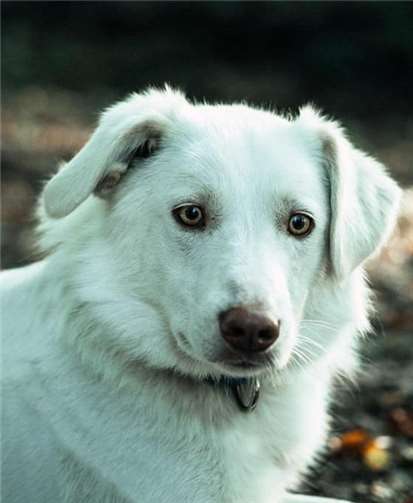 Der friedliche Zeitgenosse Zantarek. Foto: privat