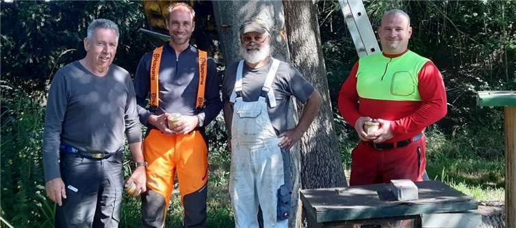 Der gefällte Baum wurde wieder hergerichtet und im Besucherbienenstand des Bienenzuchtvereins Rheinbach wieder aufgestellt.Quelle: BZV Rheinbach