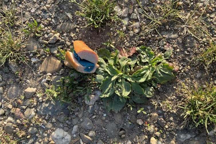 Der gefunden Köder. Foto: Polizei Koblenz