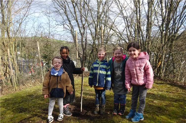 Der gepflanzte Baum wurde von dem Bürgermeister der Gemeinde Burgbrohl Herrn Walter Schneider zur Verfügung gestellt.  Foto: privat