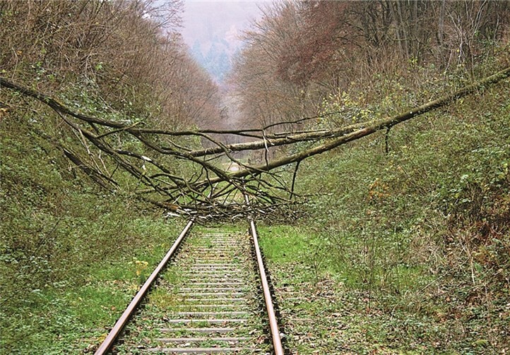Der geplante Schienenweg war ebenfalls durch umgestürzte Büume versperrt. THW Bendorf, Jörg Lohrum