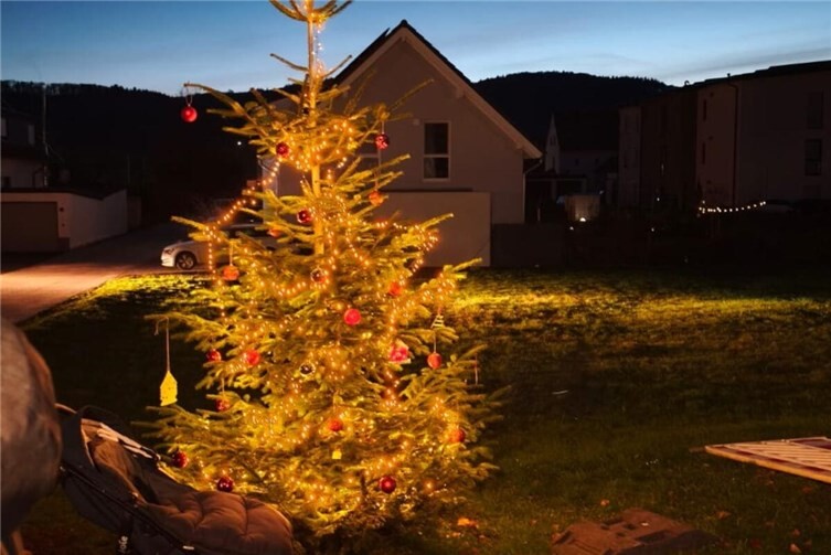 Der geschmückte Baum. Foto: privat