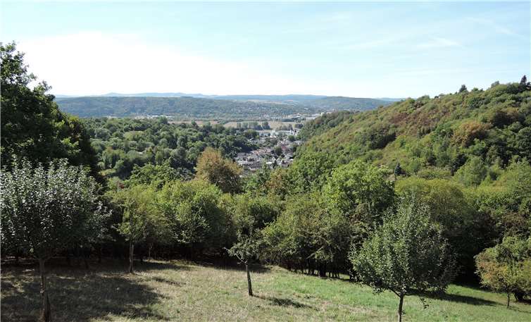 Der gestaltet sich abwechslungsreich: Wälder, Orchideenwiese und der Ort Sinzig breiten sich aus.