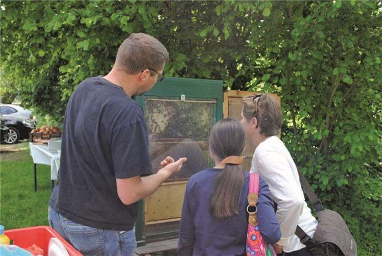 Der gläserne Schaukasten wurde von den Kindern gern besucht. privat