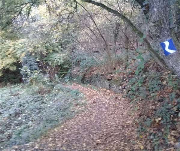 Der goldene Herbst schafft Arbeit im Ehrenamt.Foto: Privat