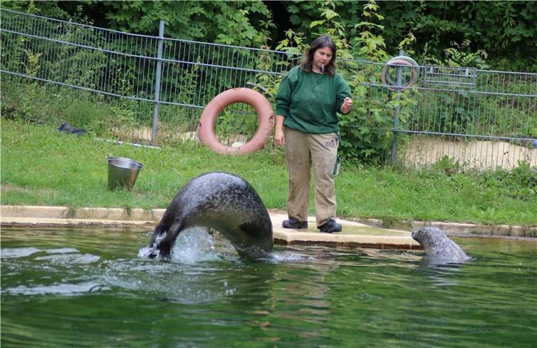 Der große Sommerausflug läutete die Ferien ein und führte in diesem Jahr in den Neuwieder Zoo.