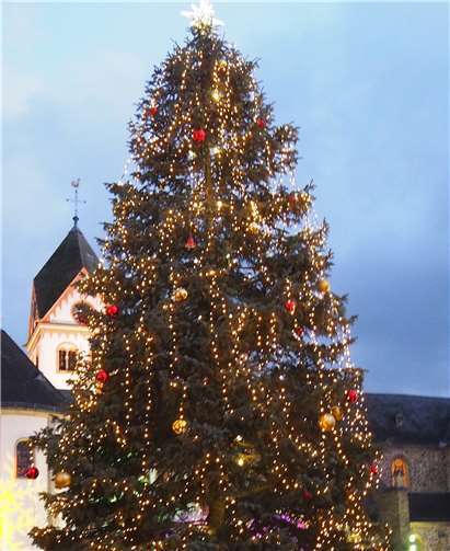 Der große Weihnachtsbaum auf dem Kirchplatz wird am 17. November aufgestellt. privat