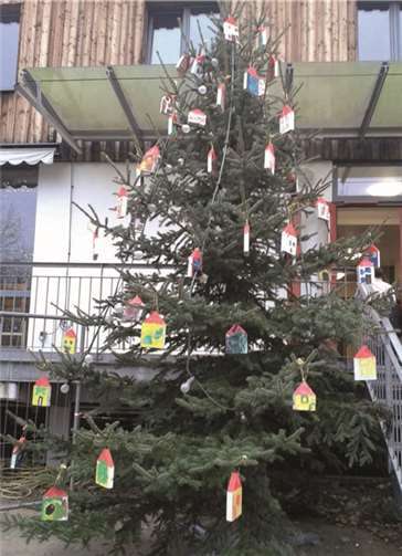 Der große Weihnachtsbaum wurde von den Kindern prächtig geschmückt. privat