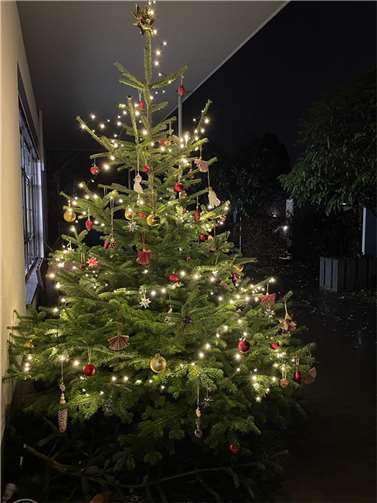 Der hübsch geschmückte Baum.Fotos: privat