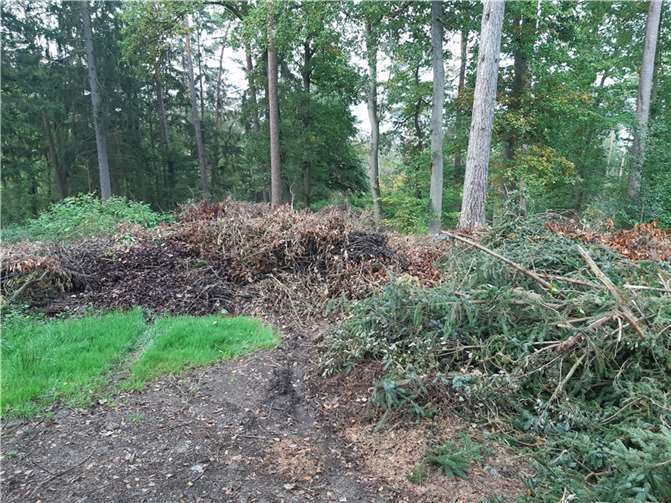 Der illegal entsorgte Grünschnitt.Quelle: VG Puderbach