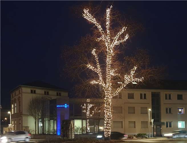 Der illuminierte Baum am Kreisel sorgt für weihnachtliche Stimmung. Foto: Stadt Sinzig