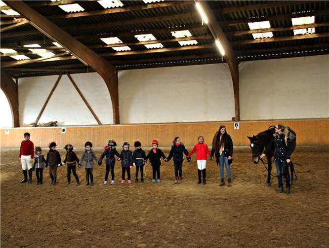 Der junge Reiternachwuchs zeigte eine schöne Voltigiervorführung unter dem Motto „Der König der Löwen“. privat