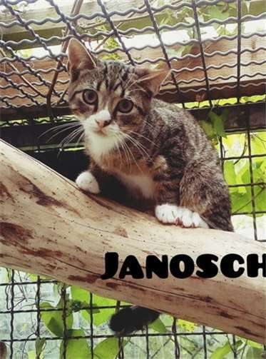 Der kleine Janosch freut sich auf neue "Dosenöffner".