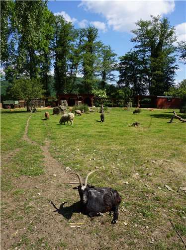 Der kleine Park ist weit über die Grenzen Sinzigs hinaus bekannt.