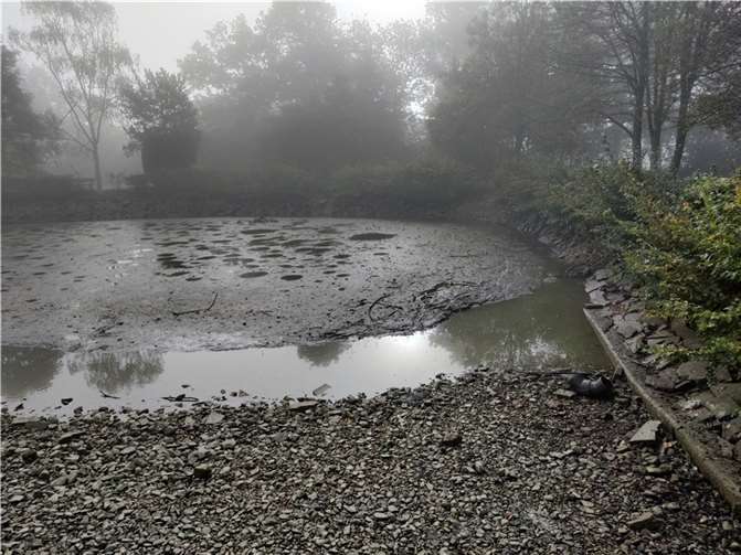 Der leergelaufenen Weiher im Ernst Wagner Park. Quelle: Grüne Lahnstein