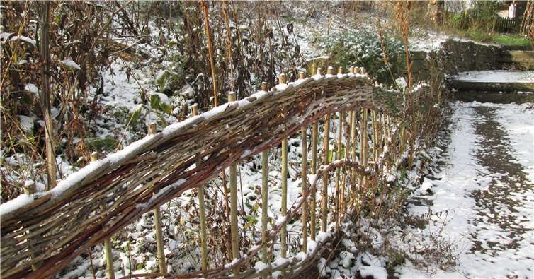 Der naturnahe Schaugarten bietet den heimischen Vögeln einen optimalen Lebensraum. privat