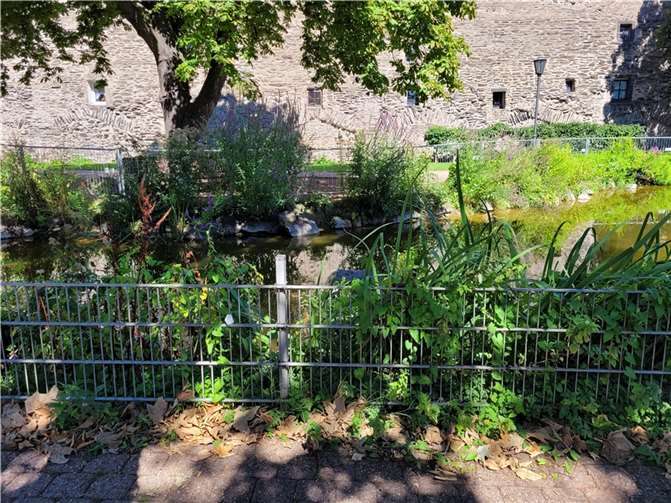 Der neu gestellte Zaun ist im Hintergrund erkennbar. Foto: Simon Remy, Stadtverwaltung Andernach